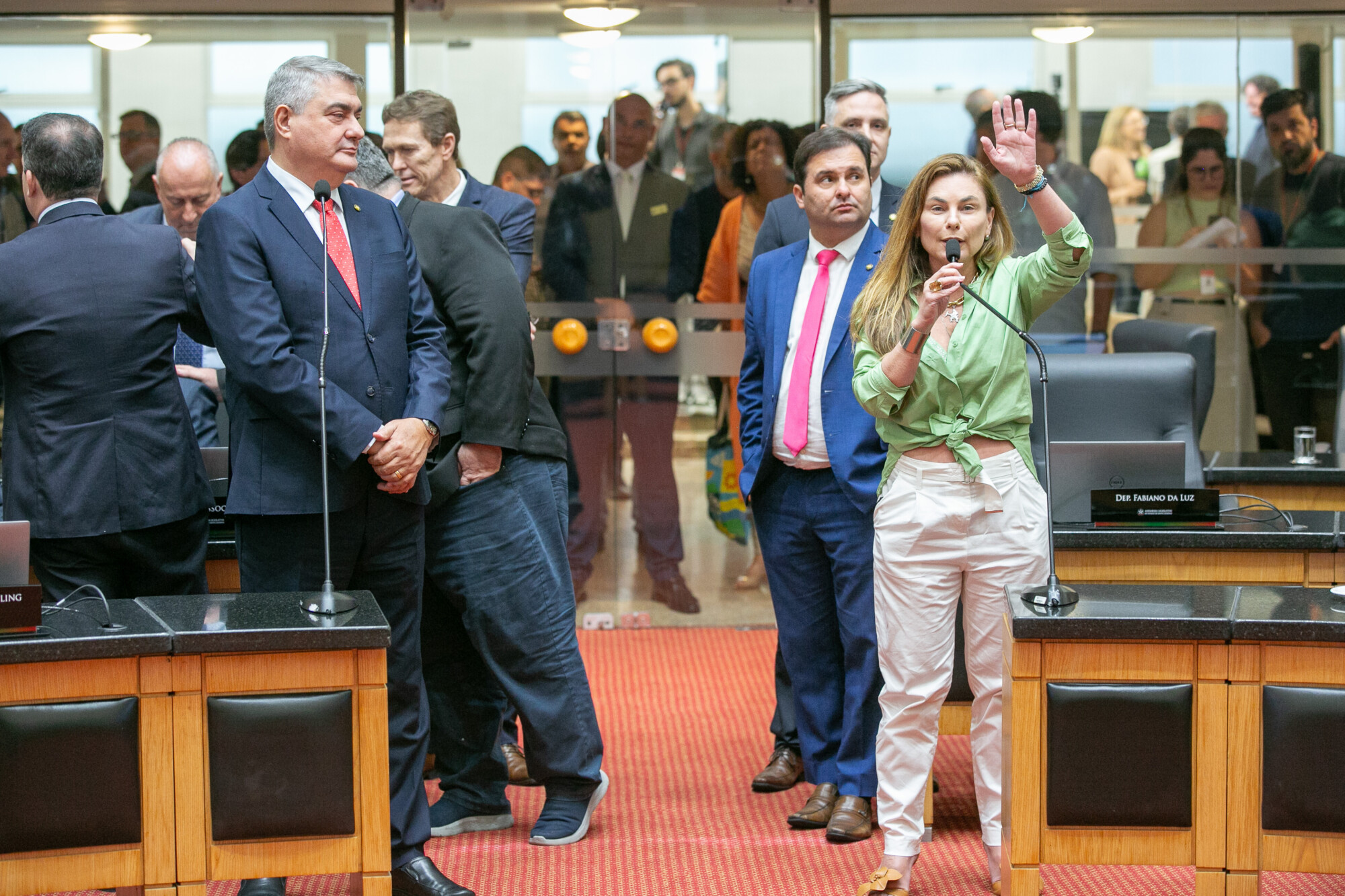 - Deputado Antídio Lunelli (MDB) 	
 - Deputada Paulinha (Podemos)