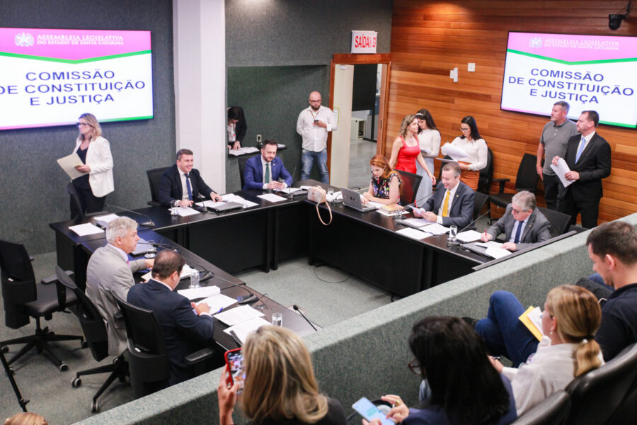 A CCJ é presidida pelo deputado Camilo Martins (Podemos).