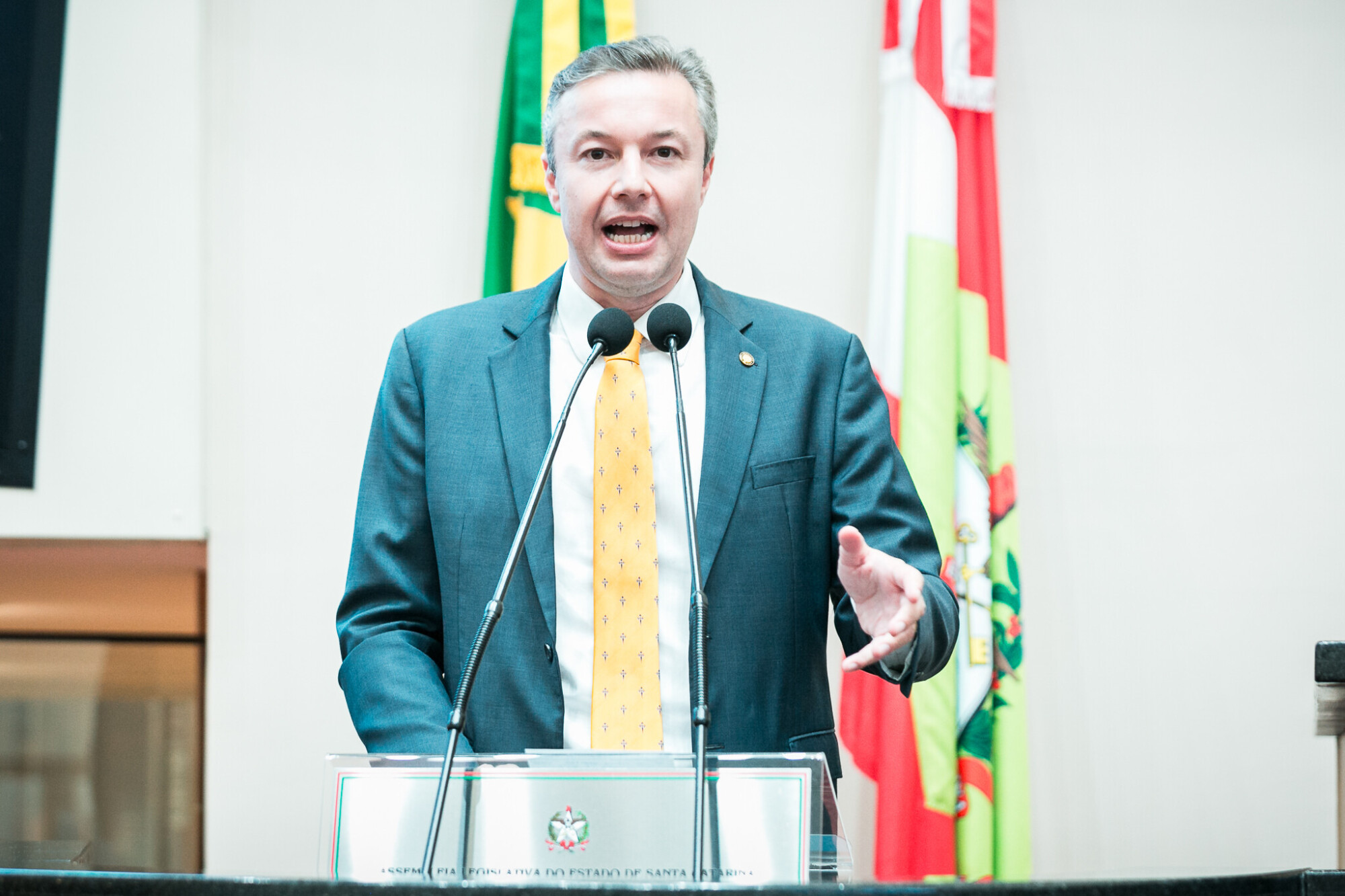 - Deputado Napoleão Bernardes (PSD)