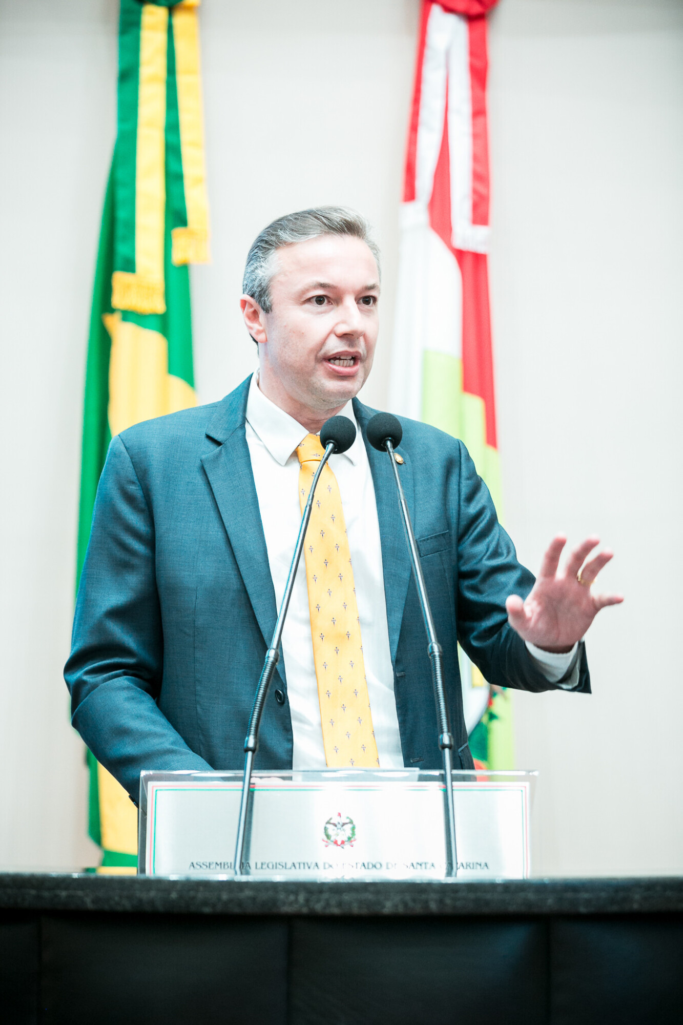 - Deputado Napoleão Bernardes (PSD)
