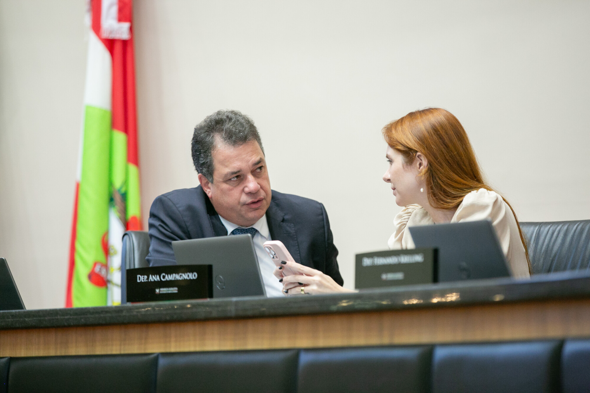 - Deputado Rodrigo Minotto (PDT) 	
- Deputada Ana Campagnolo (PL)
