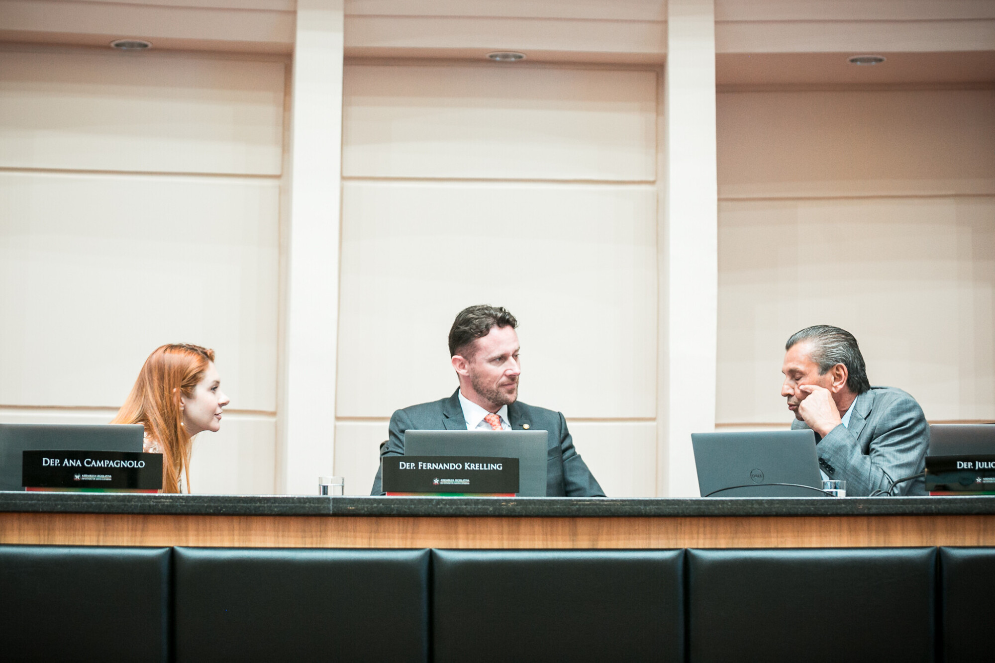 - Deputada Ana Campagnolo (PL)
- Deputado Fernando Krelling (MDB)  - Deputado Julio Garcia (PSD)
