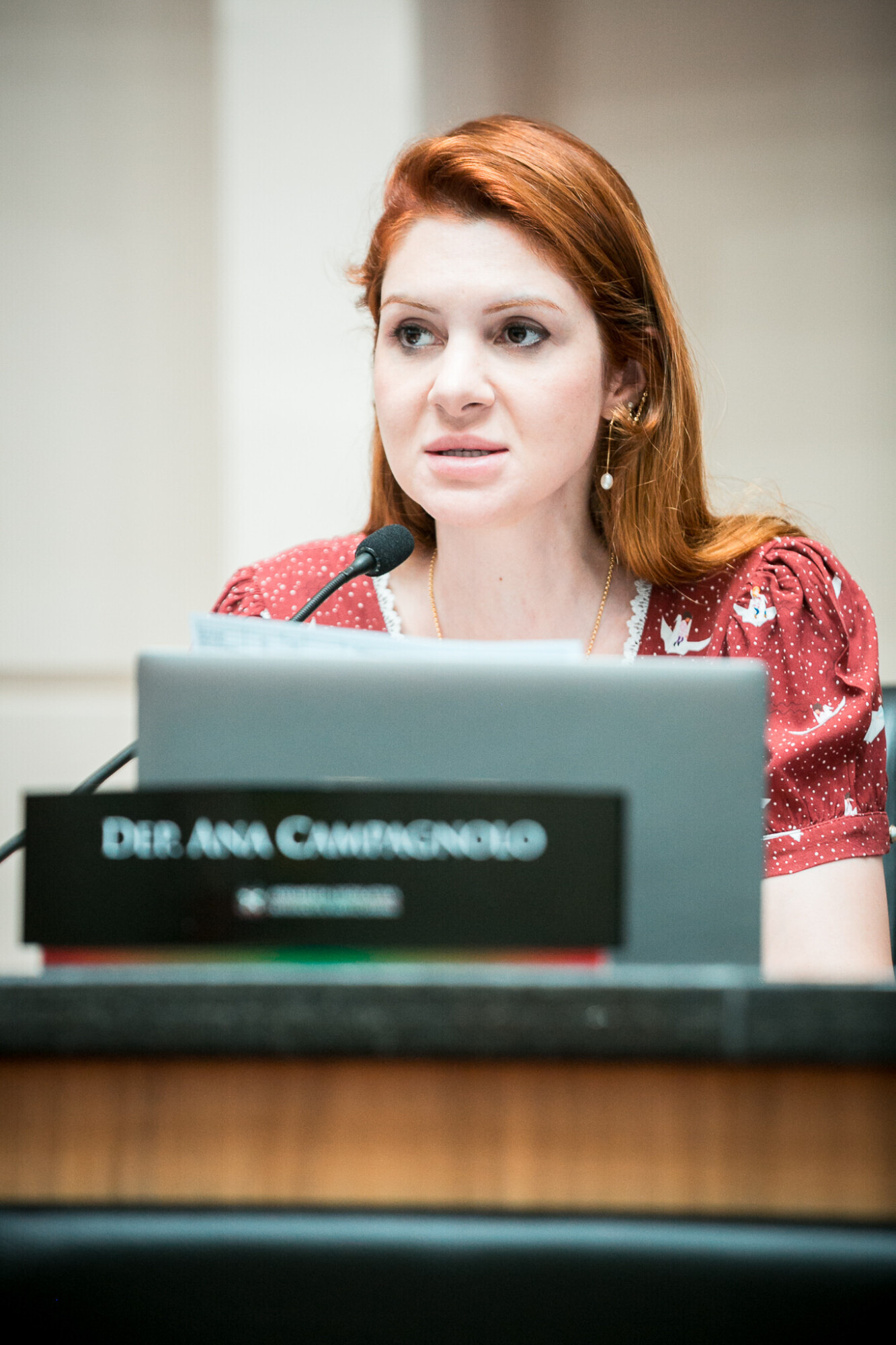 - Deputada Ana Campagnolo (PL)