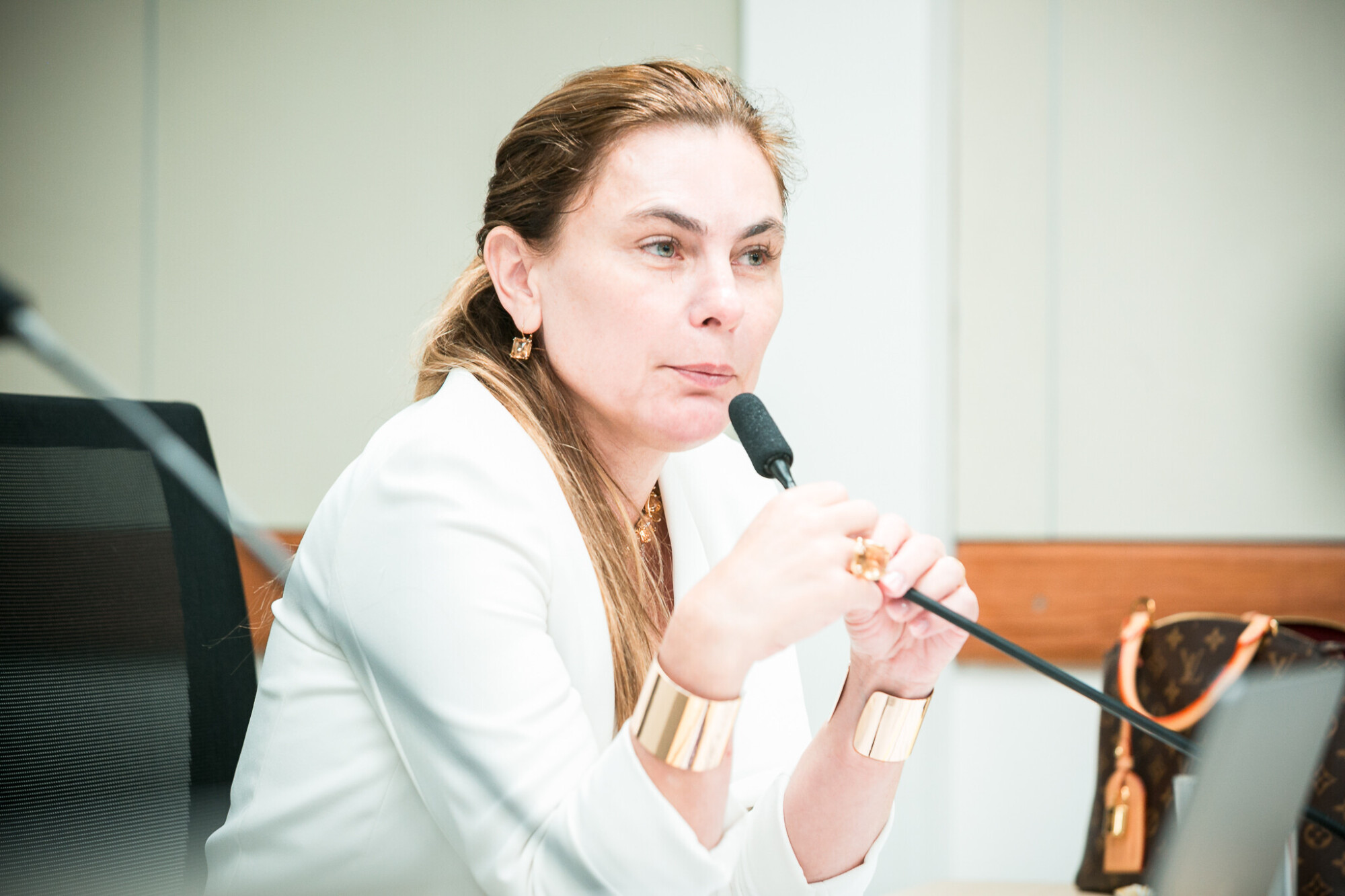 - Deputada Paulinha (Podemos)