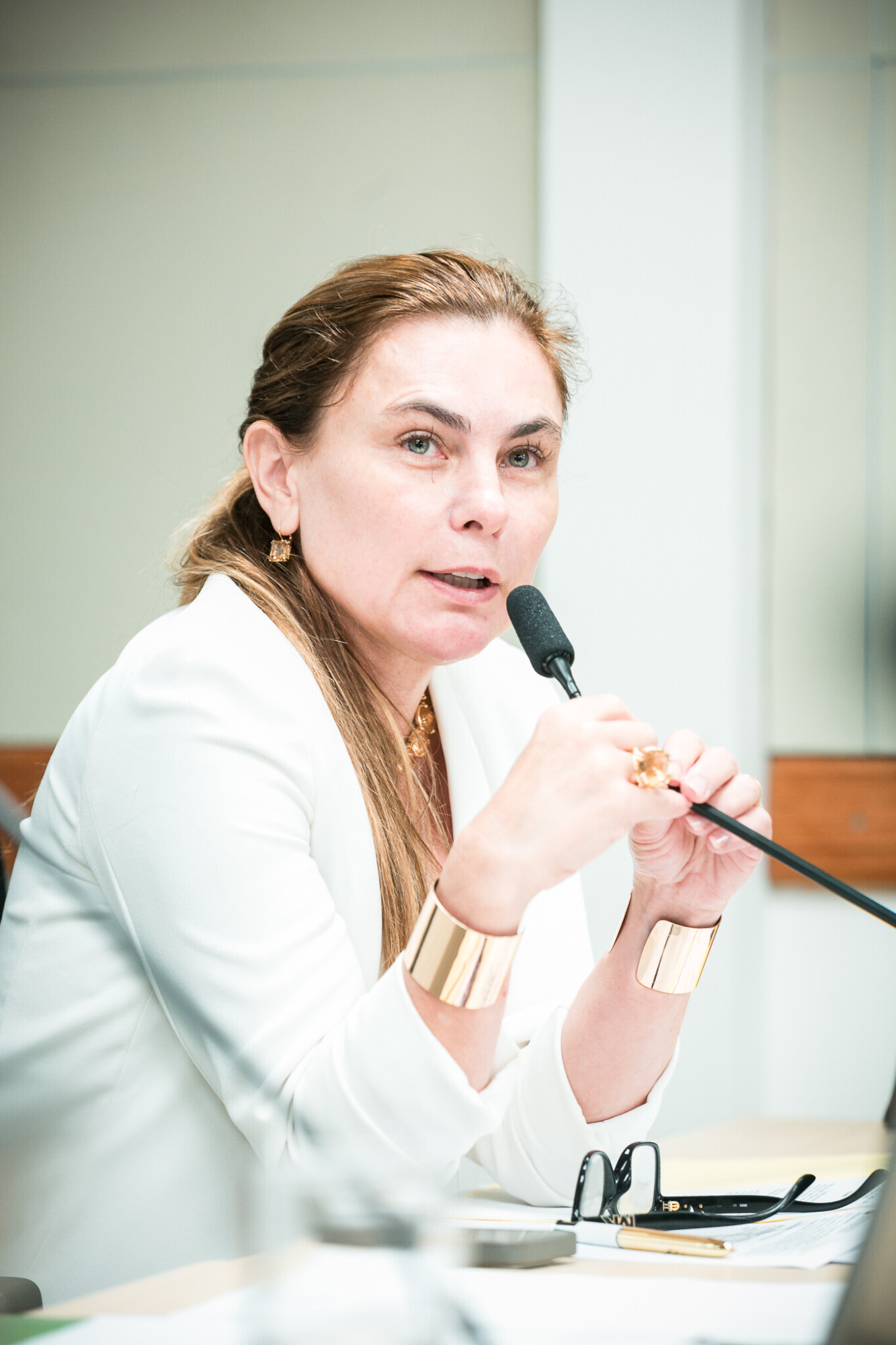 - Deputada Paulinha (Podemos)