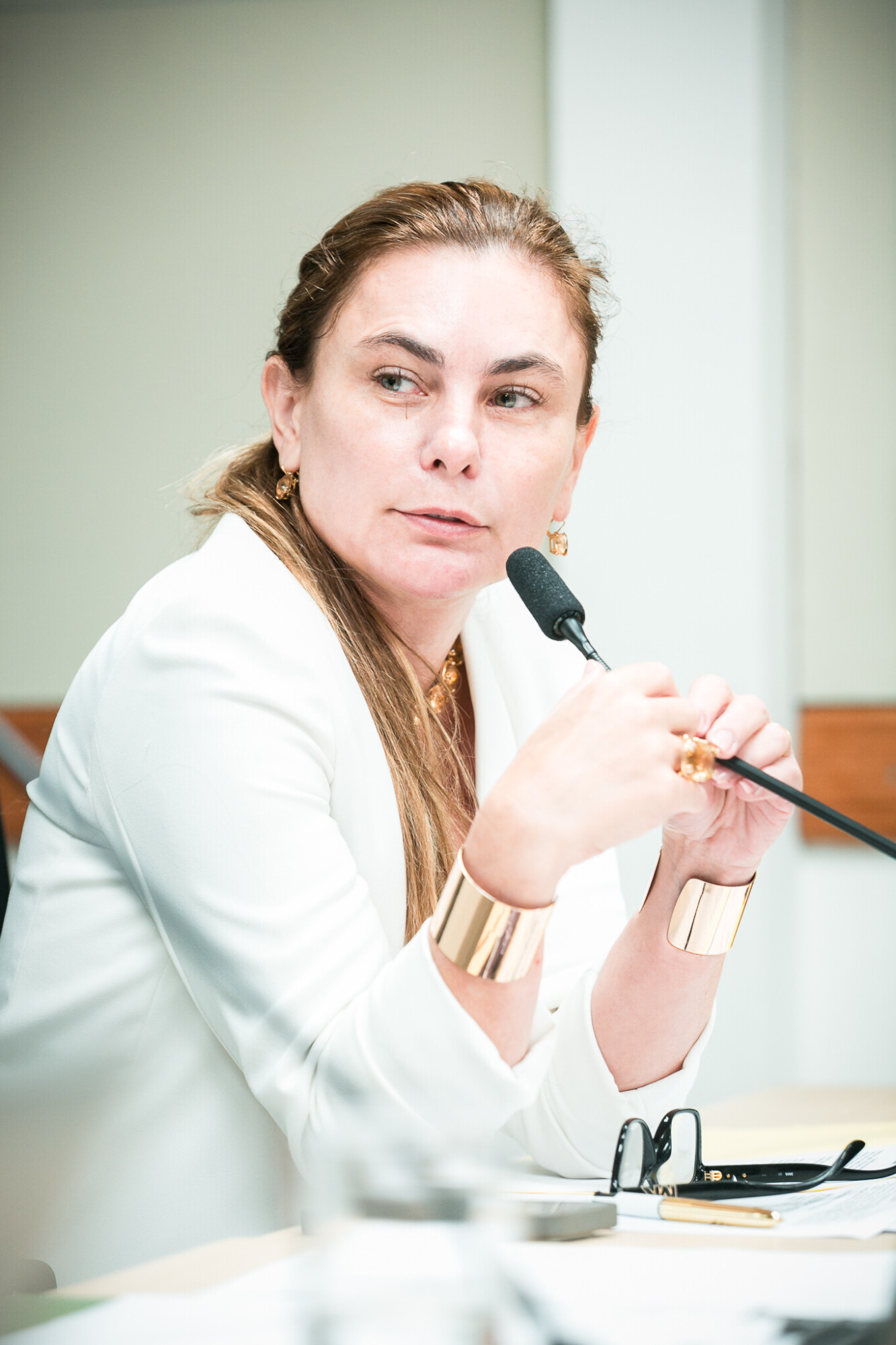 - Deputada Paulinha (Podemos)