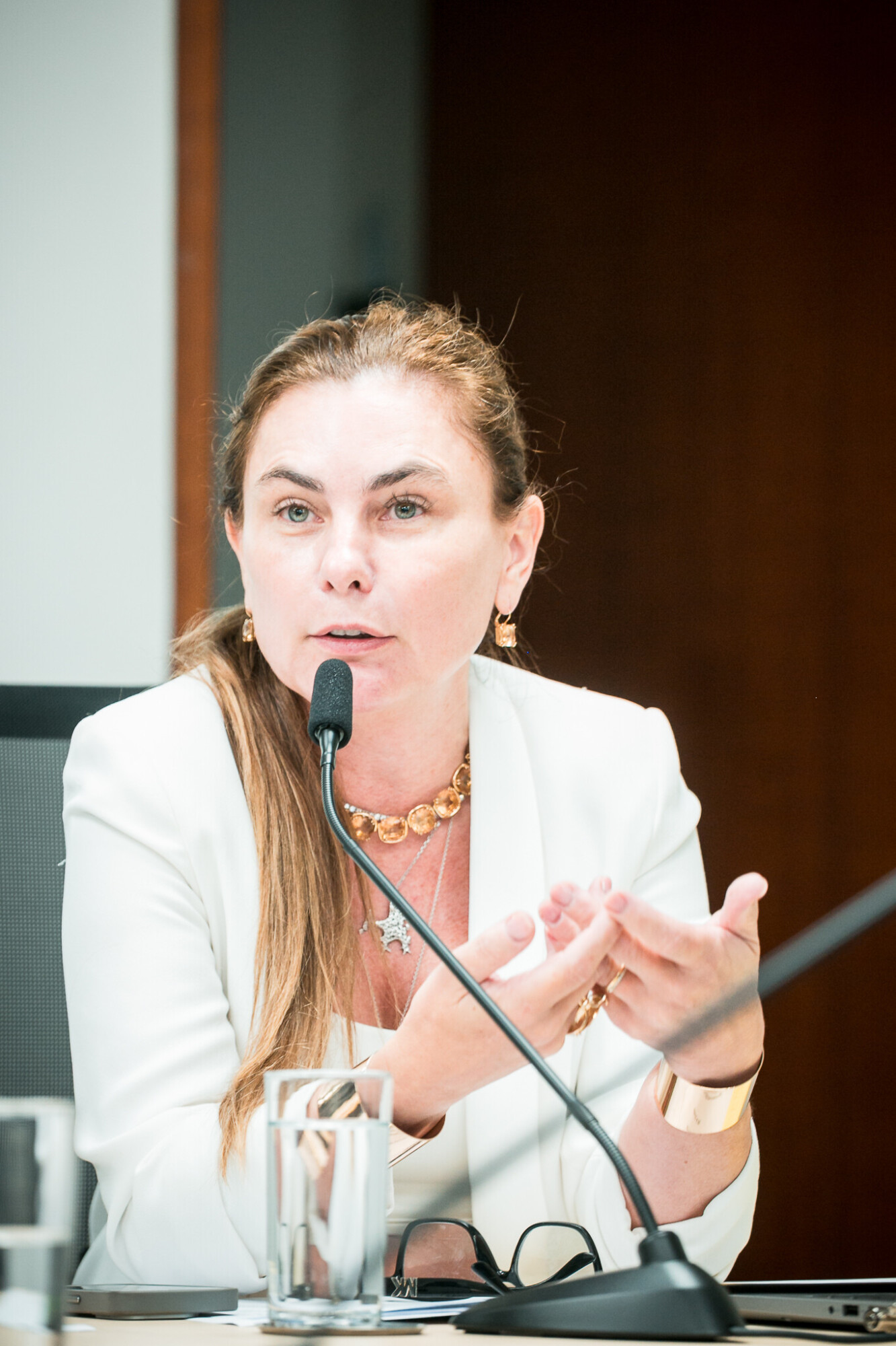- Deputada Paulinha (Podemos)