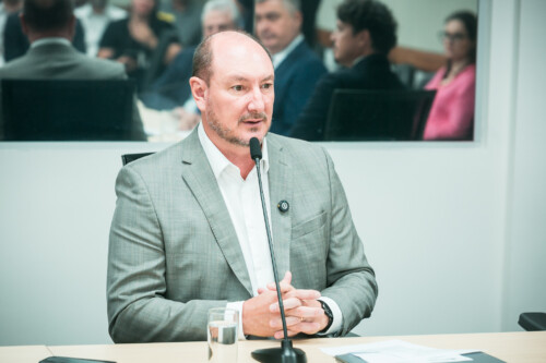 - Deputado Mauro de Nadal (MDB)