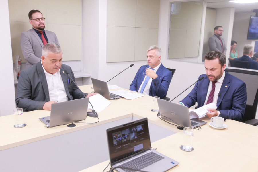 - Deputado Sargento Lima (PL)  - Deputado Fabiano da Luz (PT) 		
 - Deputado Marcius Machado (PL)