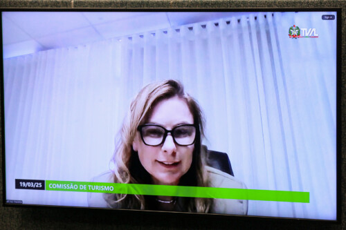 - Deputada Paulinha (Podemos)