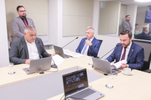 Avança projeto sobre permissão da entrada de pets em estabelecimentos diversos
