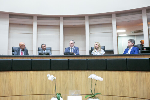 - Deputado Julio Garcia (PSD) 	
 - Deputado Matheus Cadorin (NOVO)