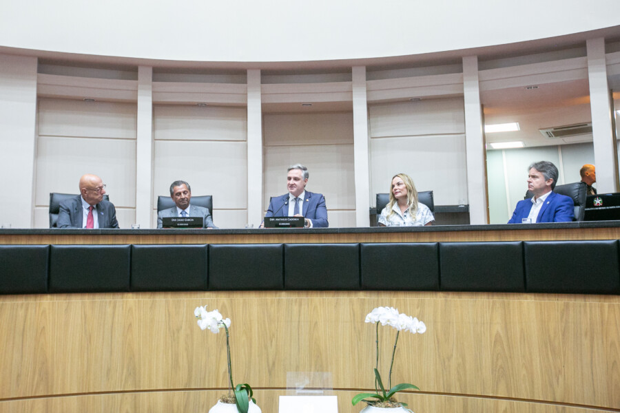 - Deputado Julio Garcia (PSD) 	
 - Deputado Matheus Cadorin (NOVO)