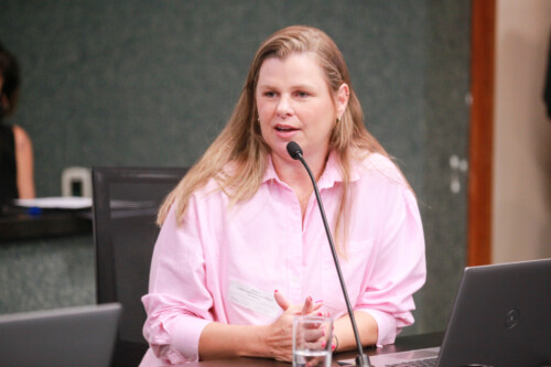 - Karina Manarin - Gerente de Politicas Publicas Turismo SC