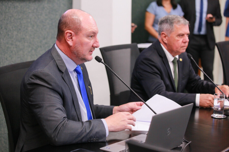 - Deputado Mauro de Nadal (MDB) 	
 - Deputado Mário Motta (PSD)