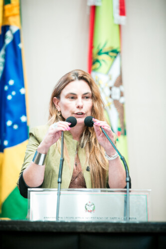 - Deputada Paulinha (Podemos)