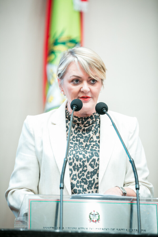 - Deputada Luciane Carminatti (PT)