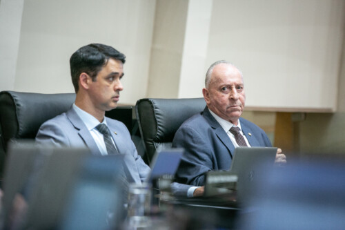 - Deputado Marcos da Rosa (União)	
- Deputado Oscar Gutz (PL)