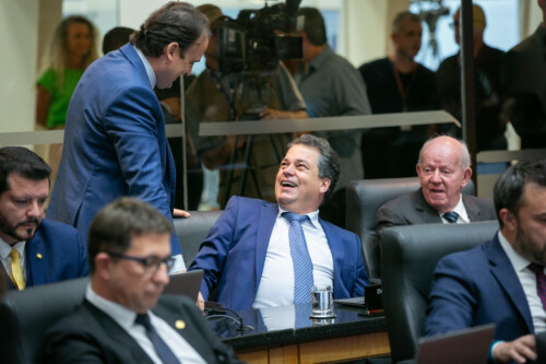 - Deputado Rodrigo Minotto (PDT)