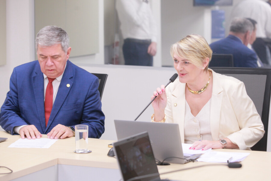 - Deputado Mário Motta (PSD)
 - Deputada Luciane Carminatti (PT)