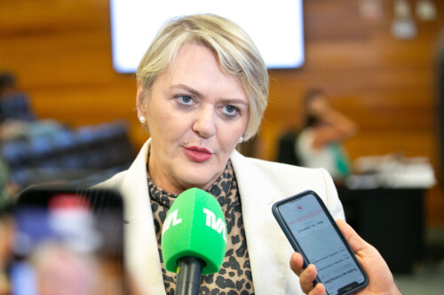 - Deputada Luciane Carminatti (PT)