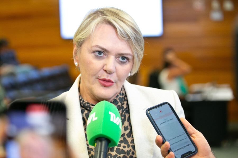 - Deputada Luciane Carminatti (PT)