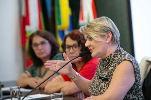 - Deputada Luciane Carminatti (PT)