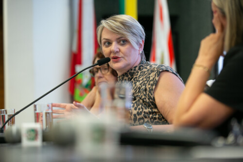 - Deputada Luciane Carminatti (PT)