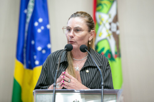 - Deputada Paulinha (Podemos)