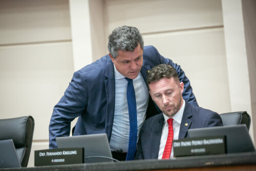 - Deputado Fernando Krelling (MDB)