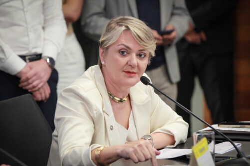 - Deputada Luciane Carminatti (PT)