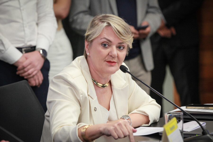 - Deputada Luciane Carminatti (PT)
