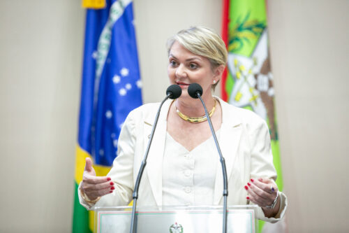 Descompactação de salários e cortes no orçamento da União na pauta da Alesc
