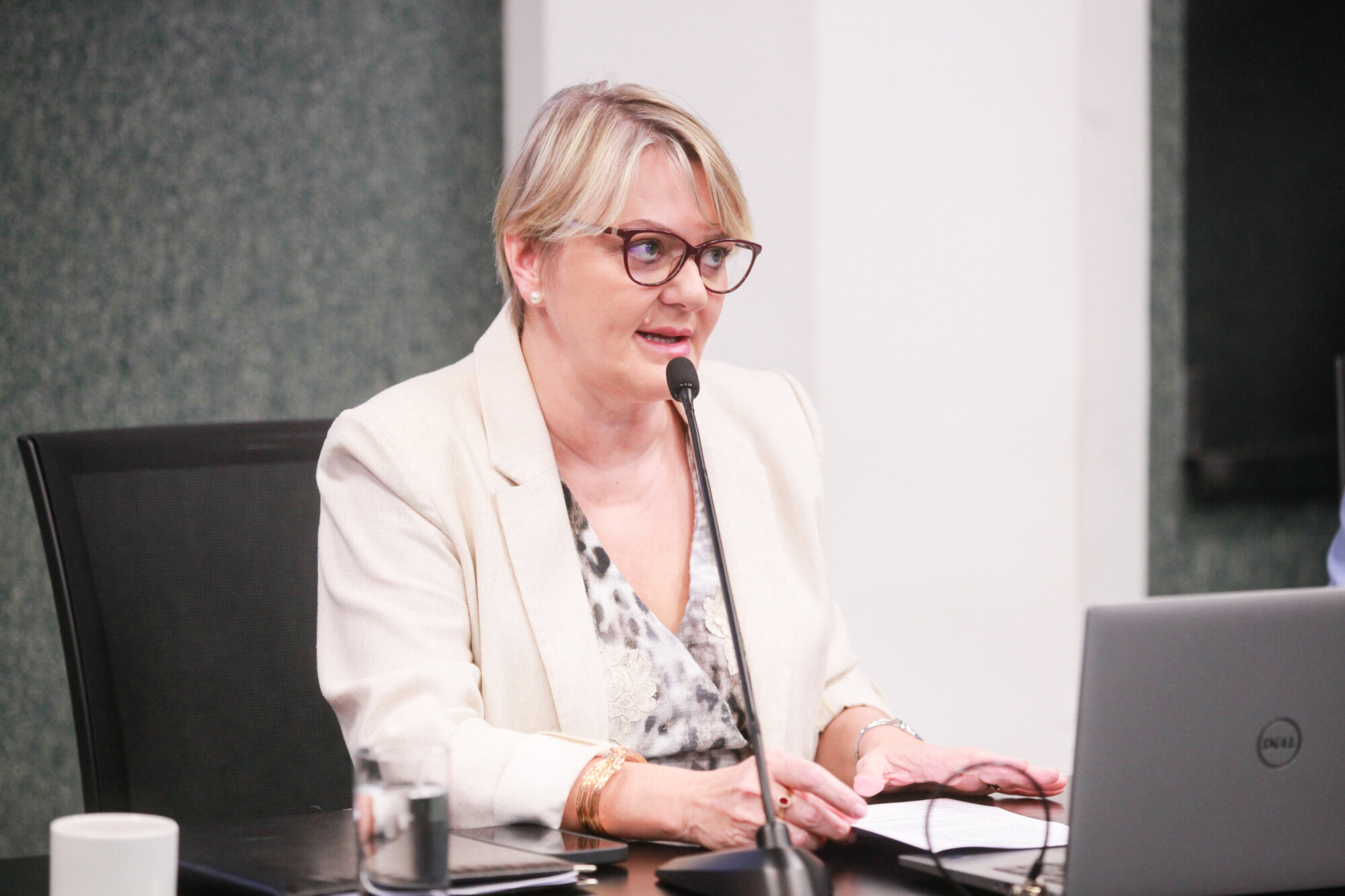 - Deputada Luciane Carminatti (PT)