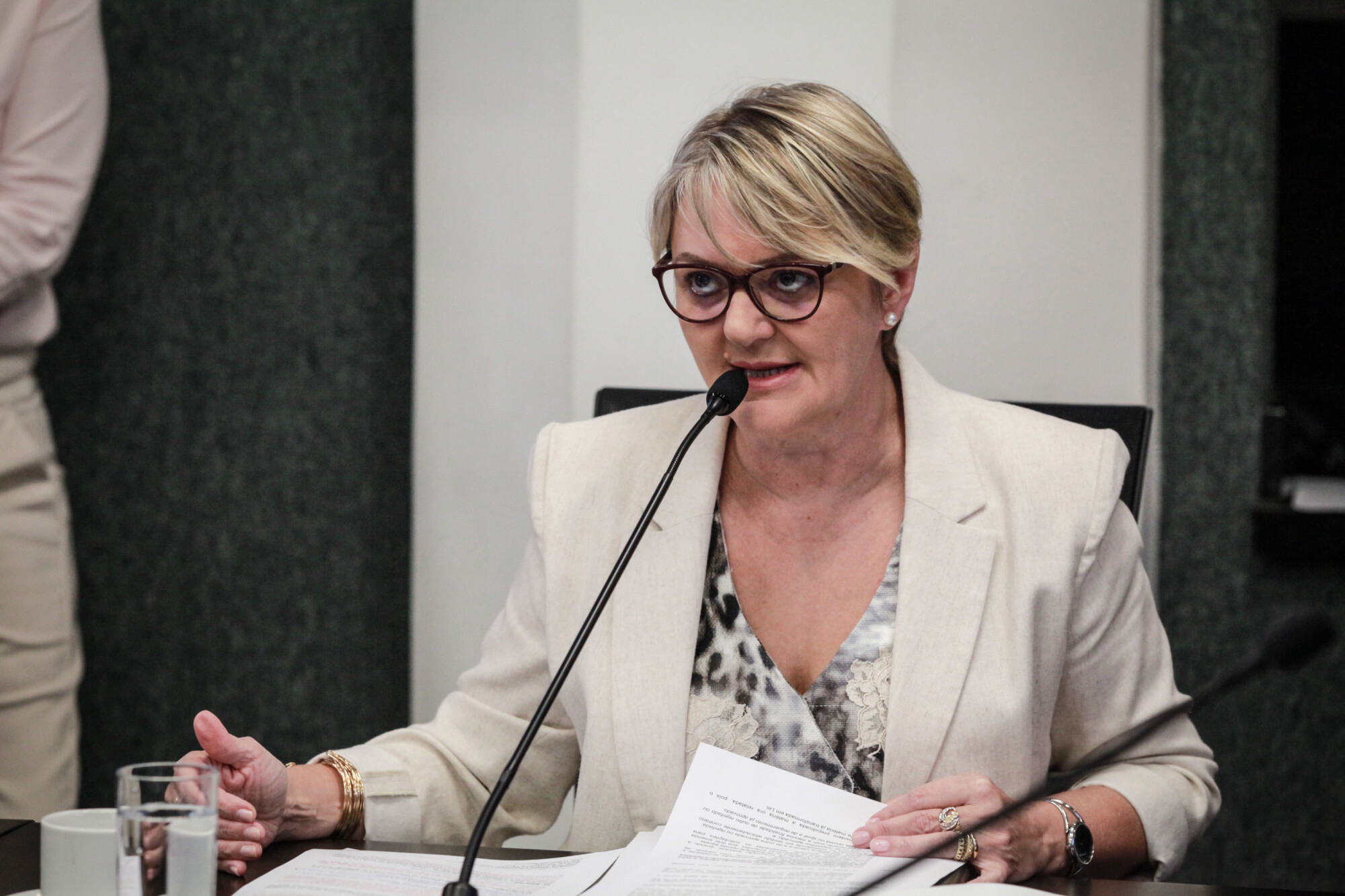 - Deputada Luciane Carminatti (PT)