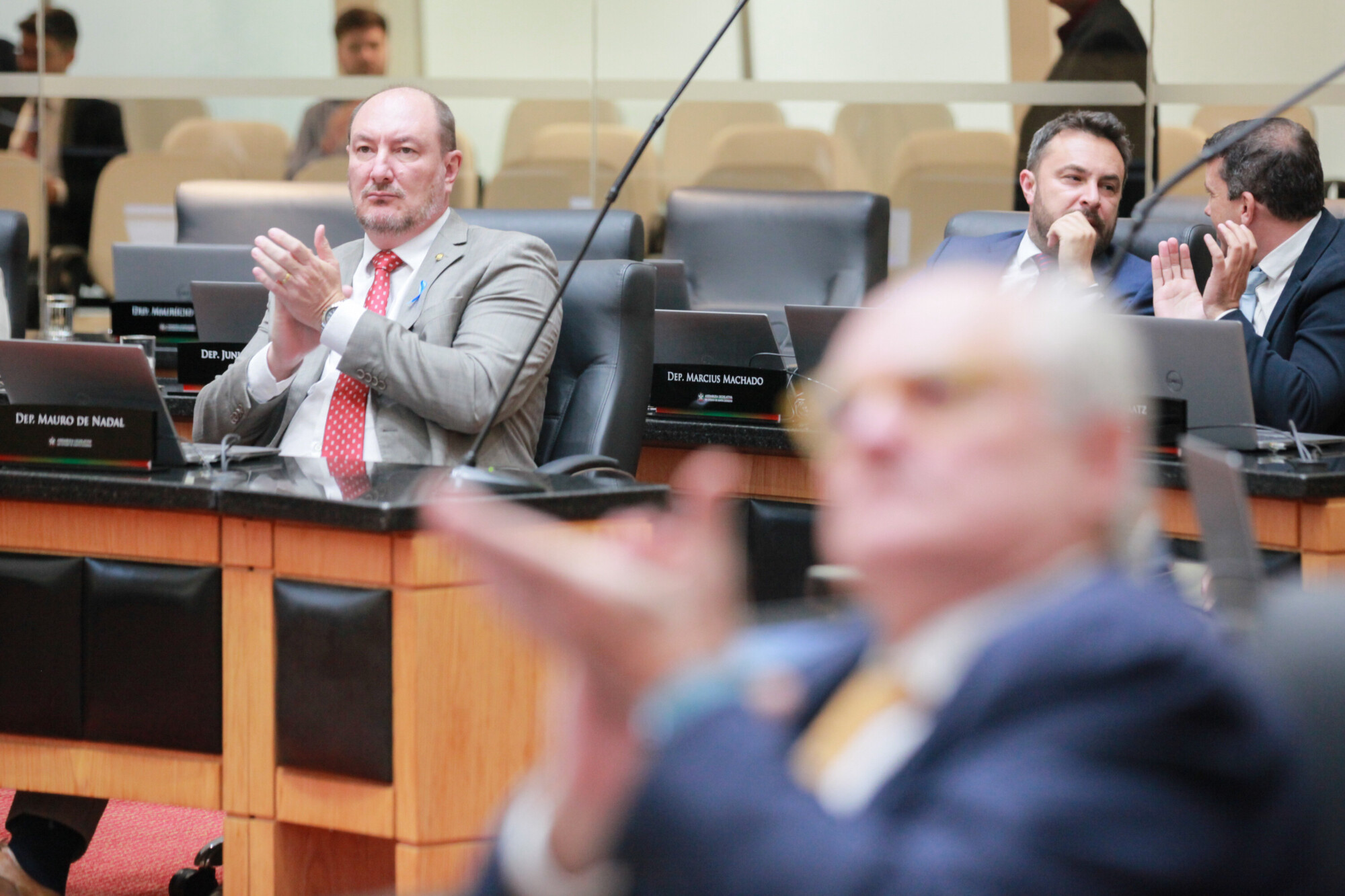 - Deputado Mauro de Nadal (MDB)