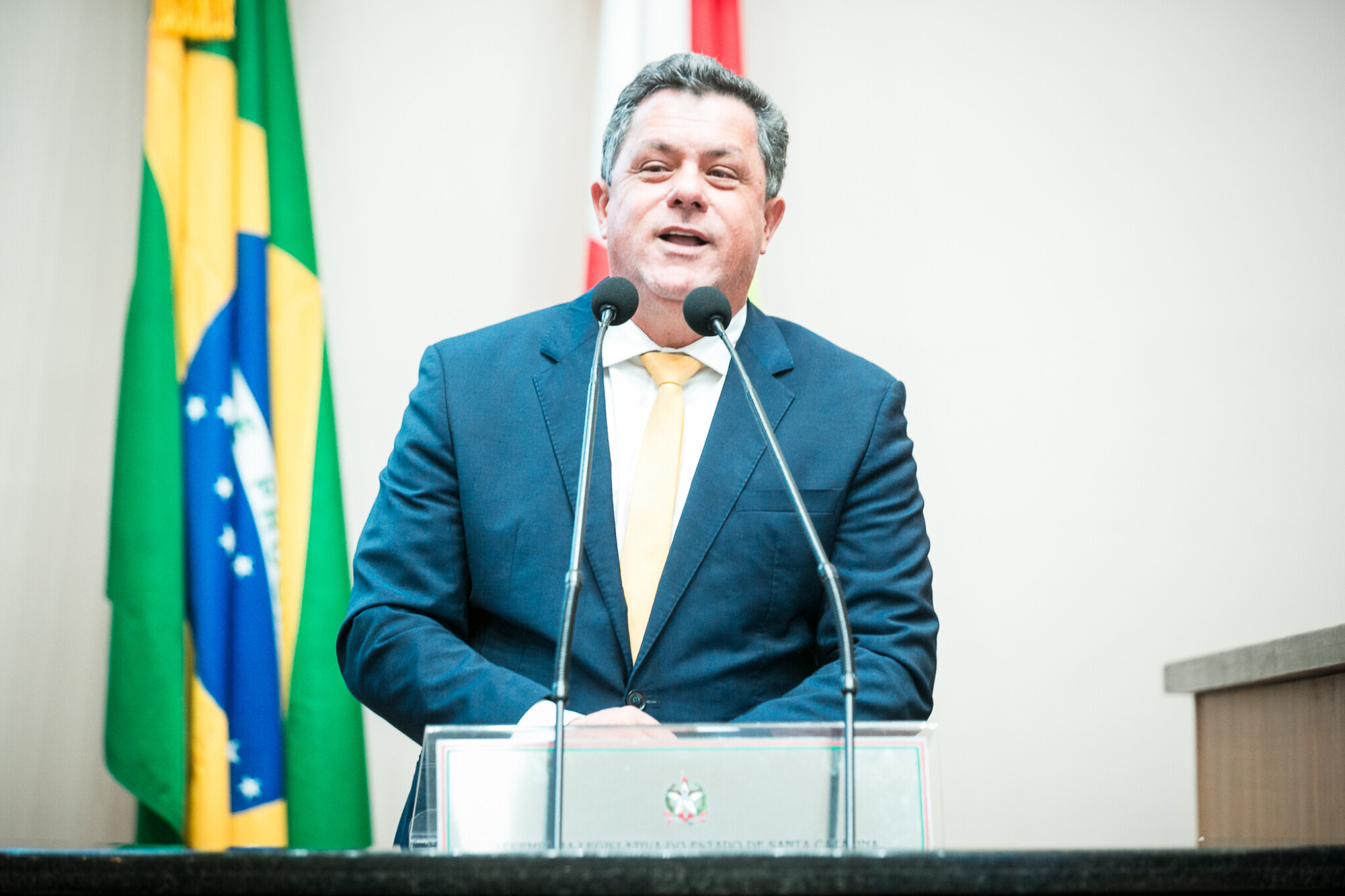 - Deputado Ivan Naatz (PL)