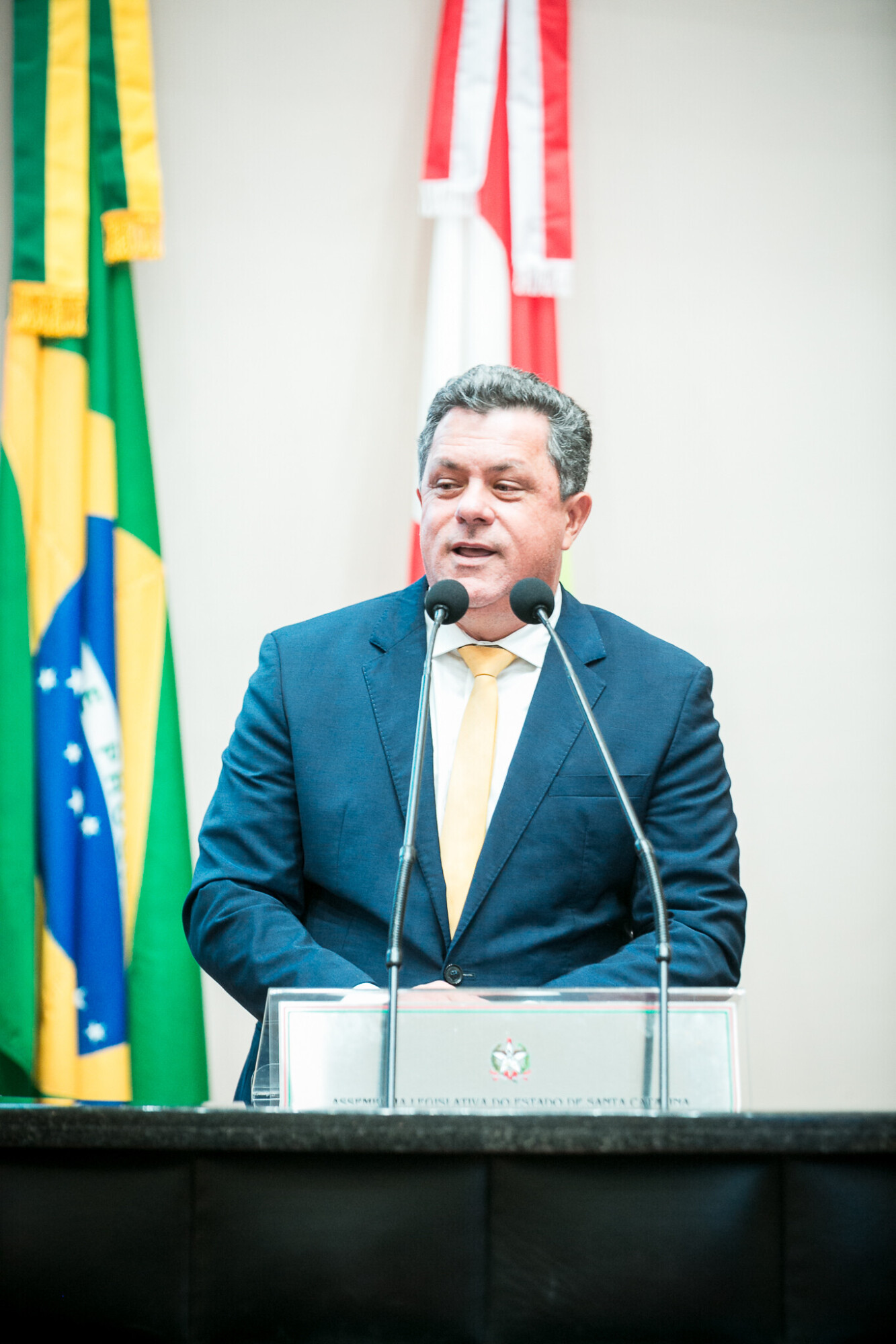 - Deputado Ivan Naatz (PL)