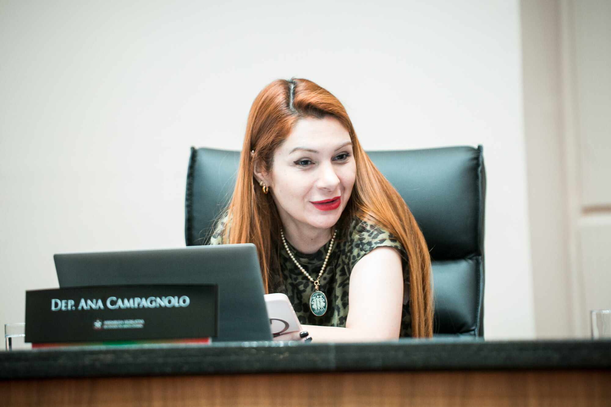 - Deputada Ana Caroline Campagnolo (PL)