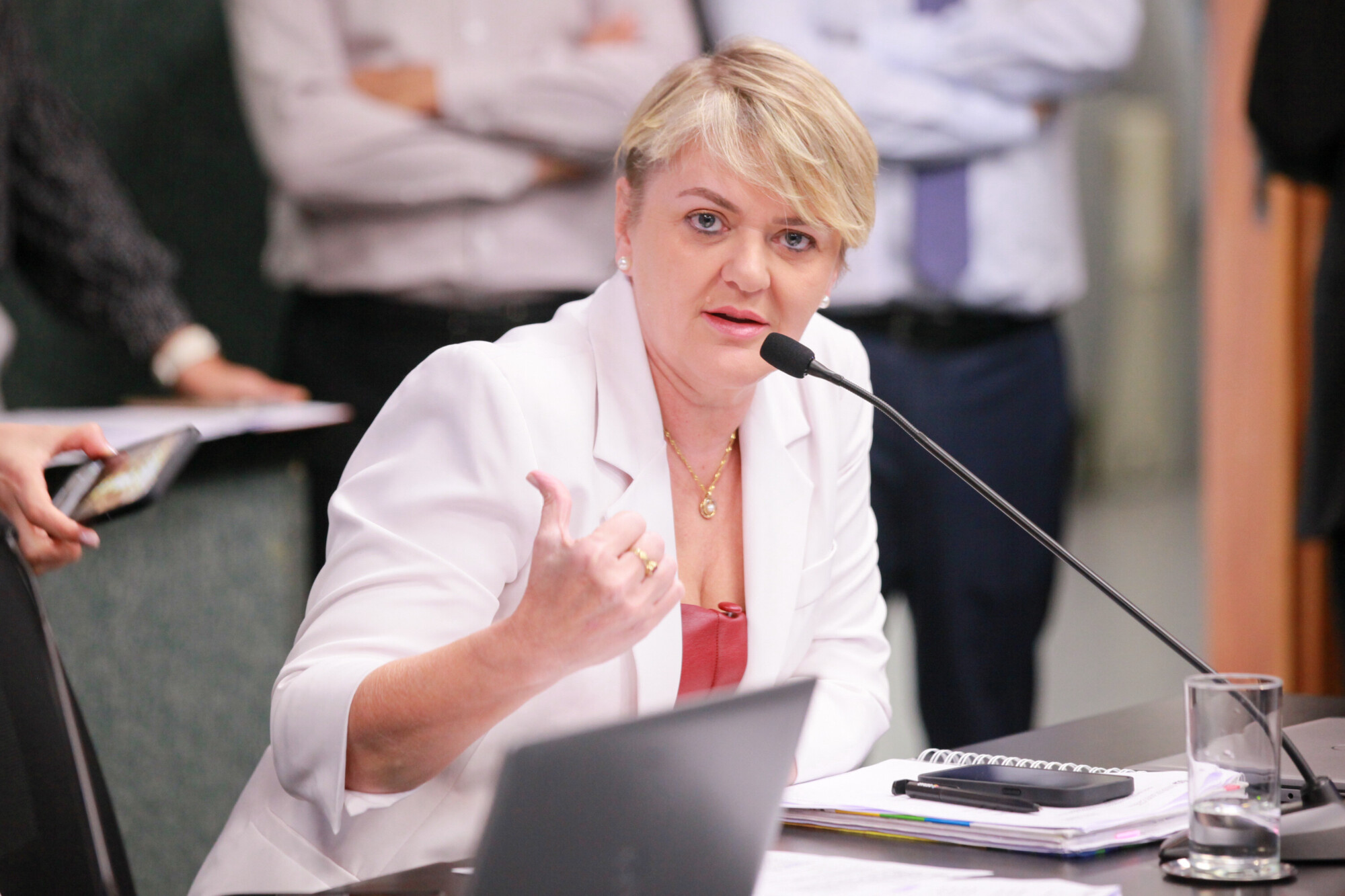 - Deputada Luciane Carminatti (PT)