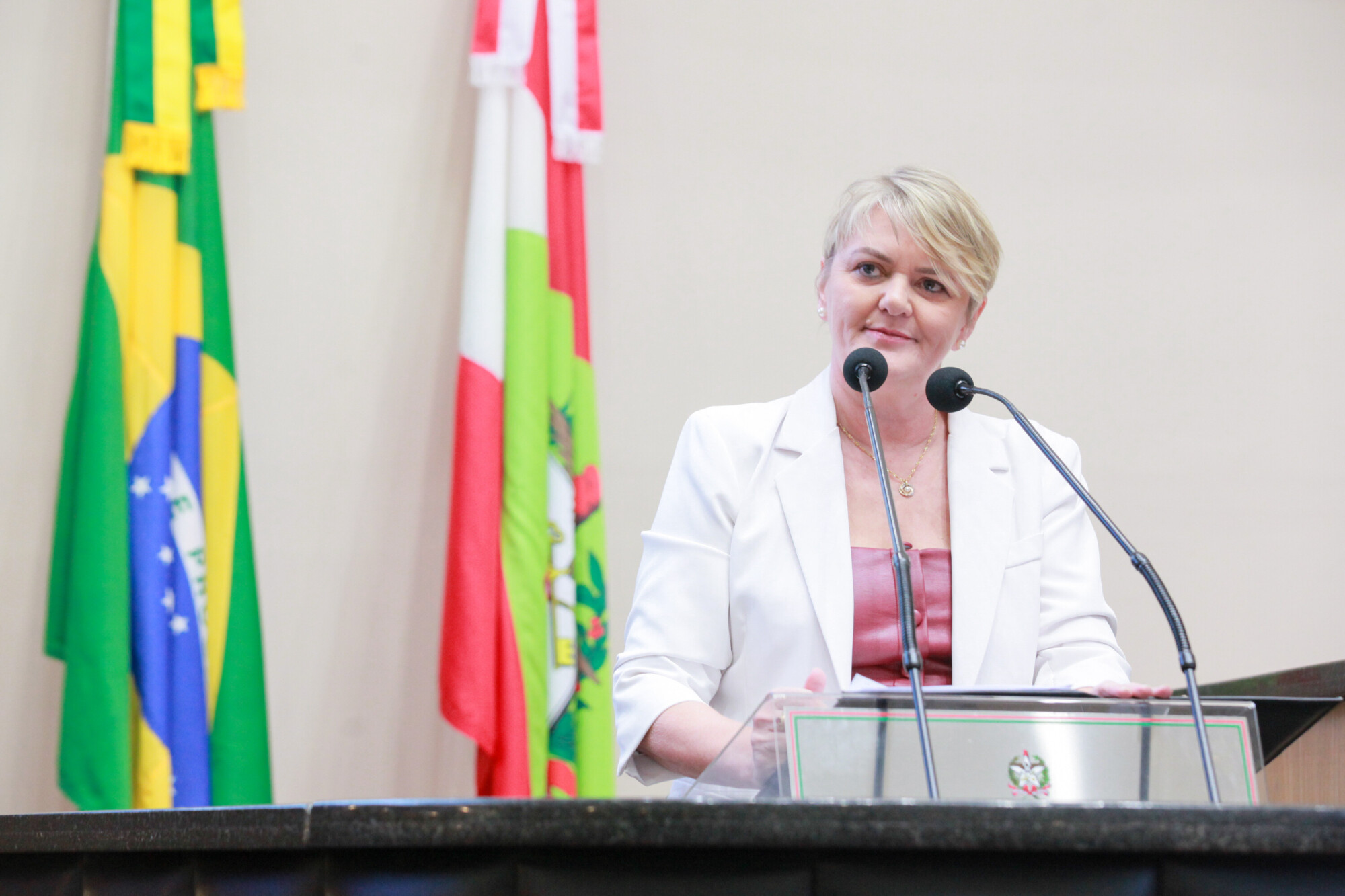 - Deputada Luciane Carminatti (PT)