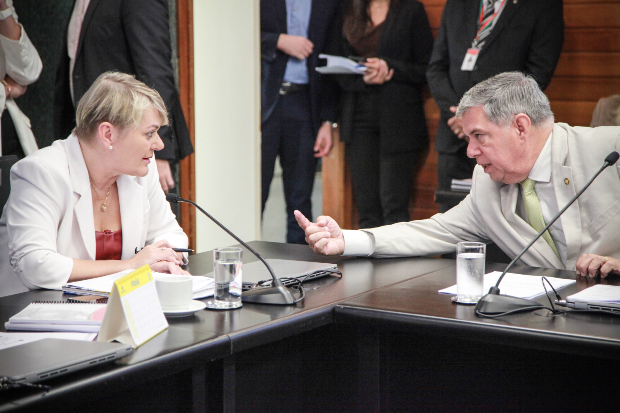 - Deputada Luciane Carminatti (PT) 		 - Deputado Mário Motta (PSD)