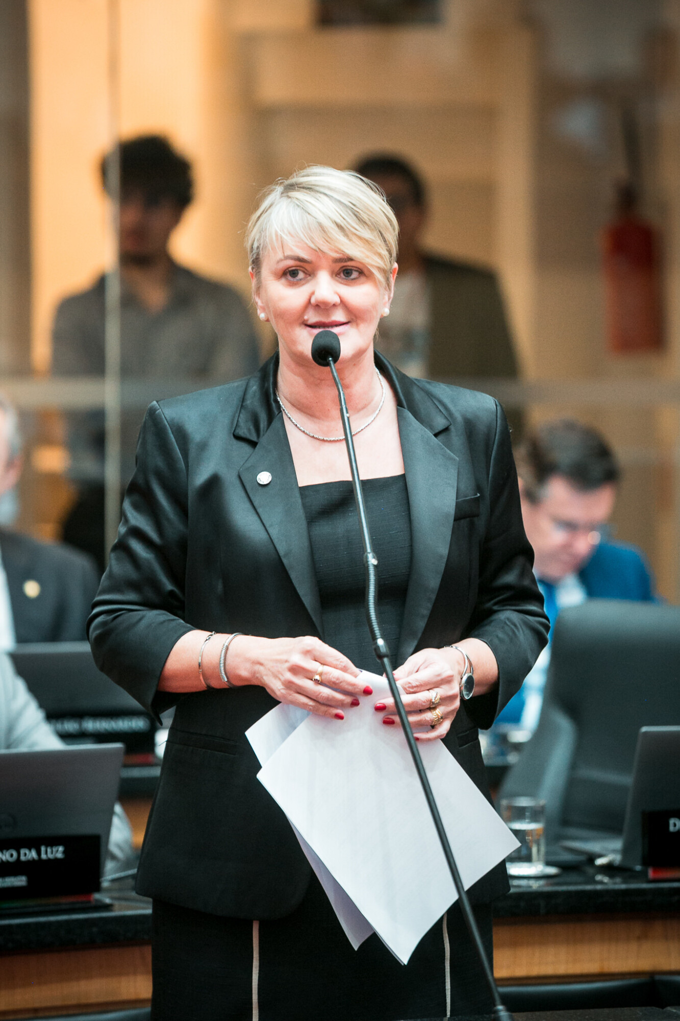 - Deputada Luciane Carminatti (PT)