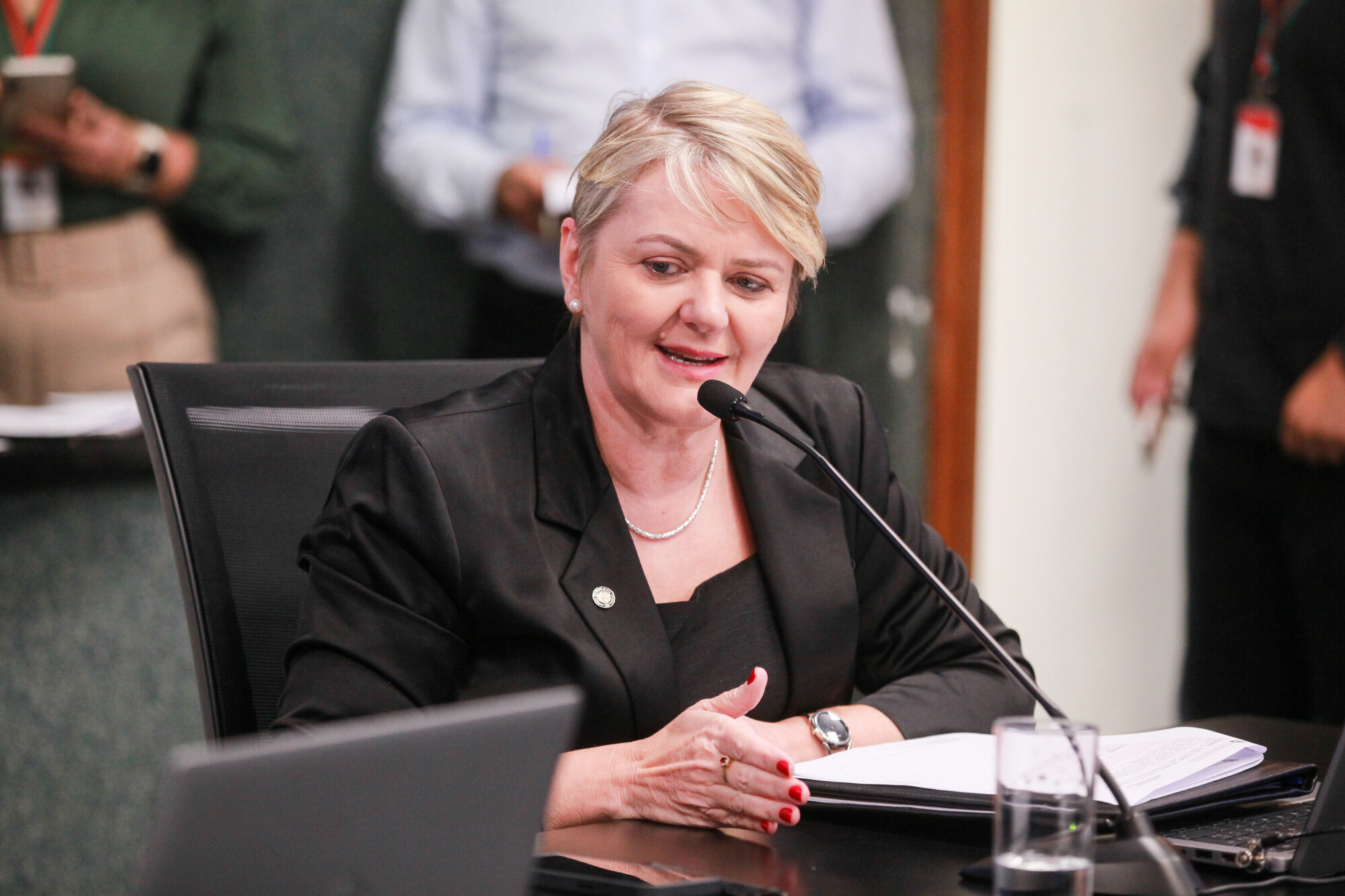 - Deputada Luciane Carminatti (PT)