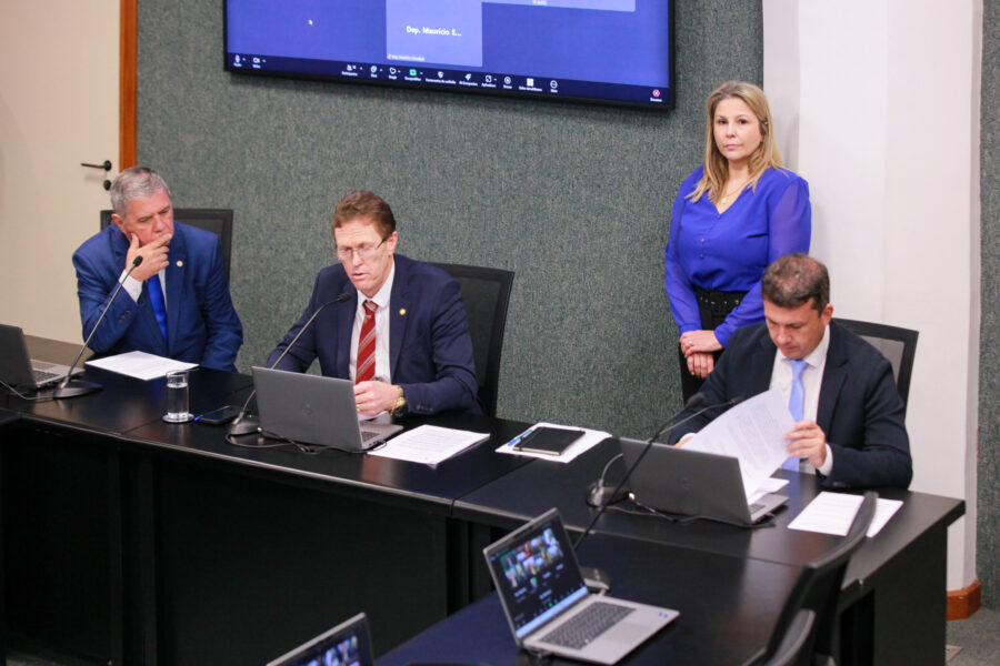 Comissão de Transportes da Alesc, que se reuniu na tarde desta terça-feira (29)