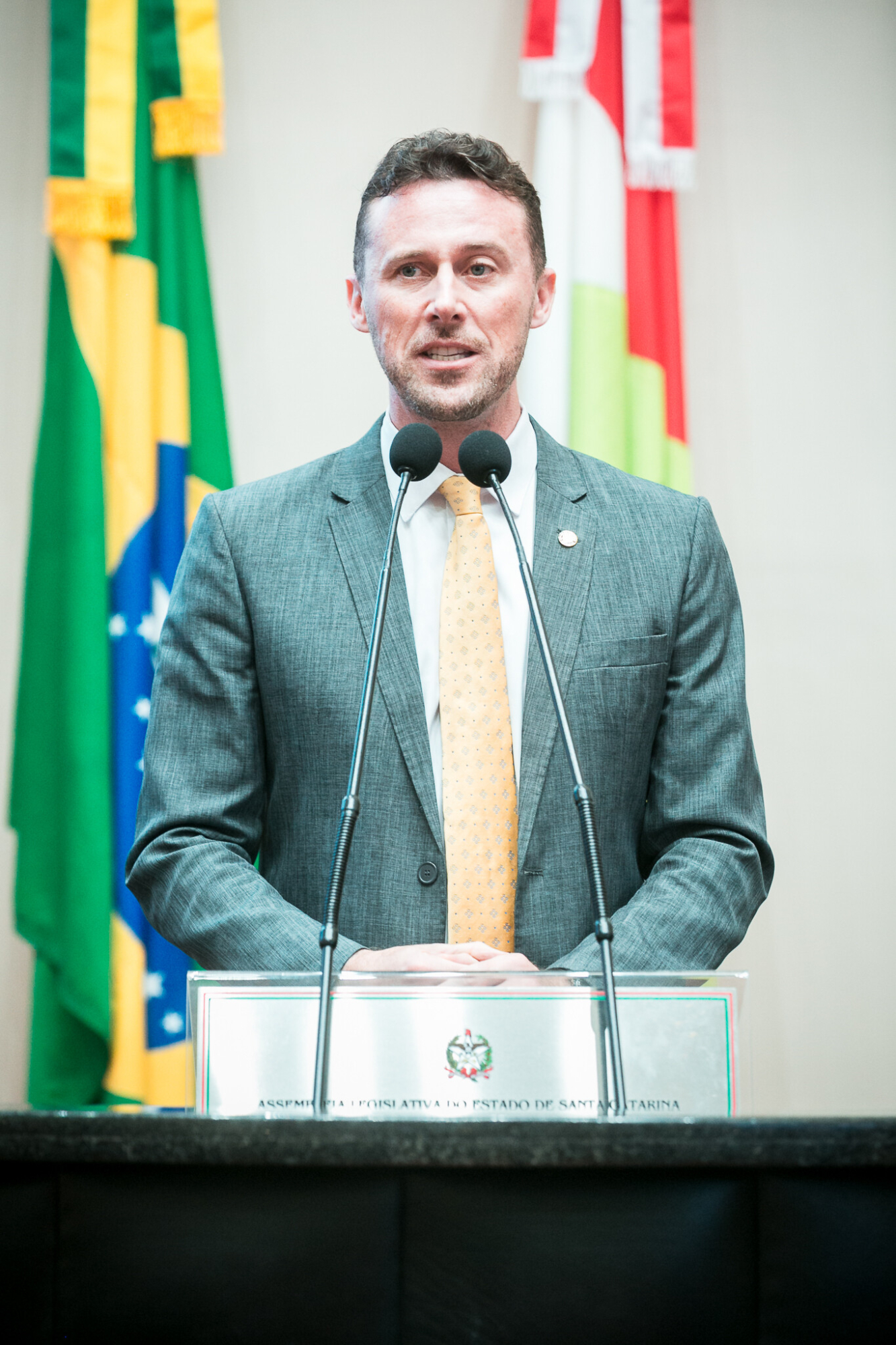 - Deputado Fernando Krelling (MDB)