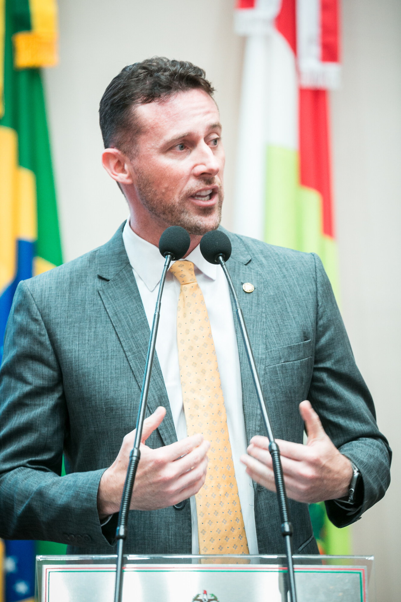 - Deputado Fernando Krelling (MDB)