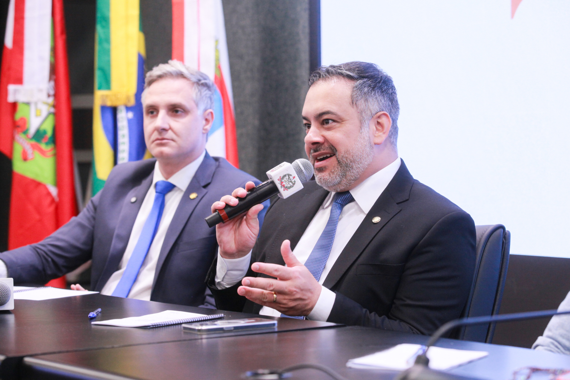 - Deputado Matheus Cadorin (NOVO) 	
-Deputado Thiago Morastoni (Podemos)