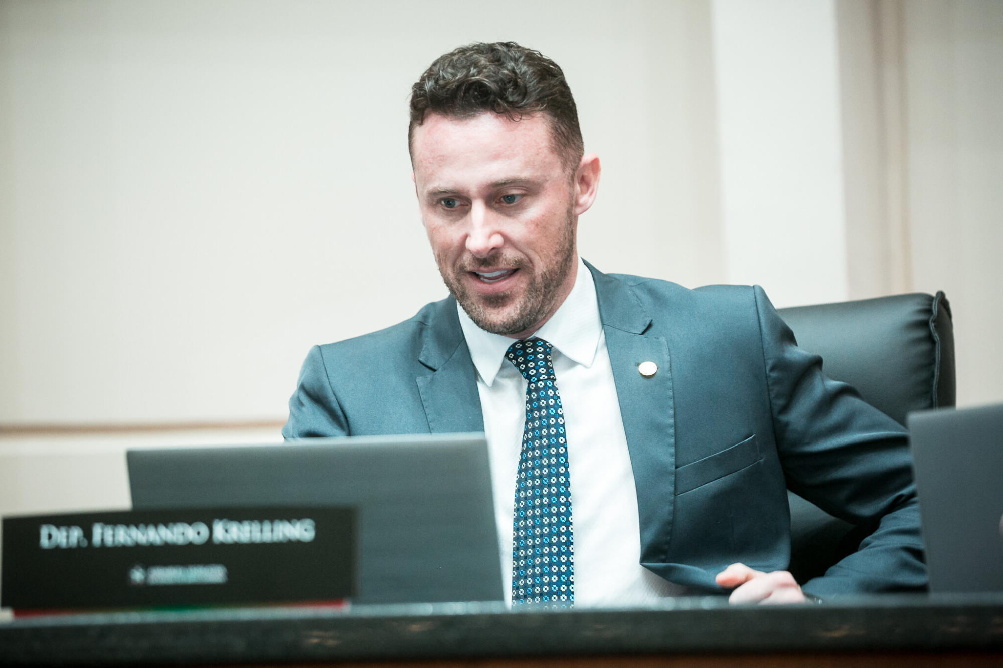 - Deputado Fernando Krelling (MDB)