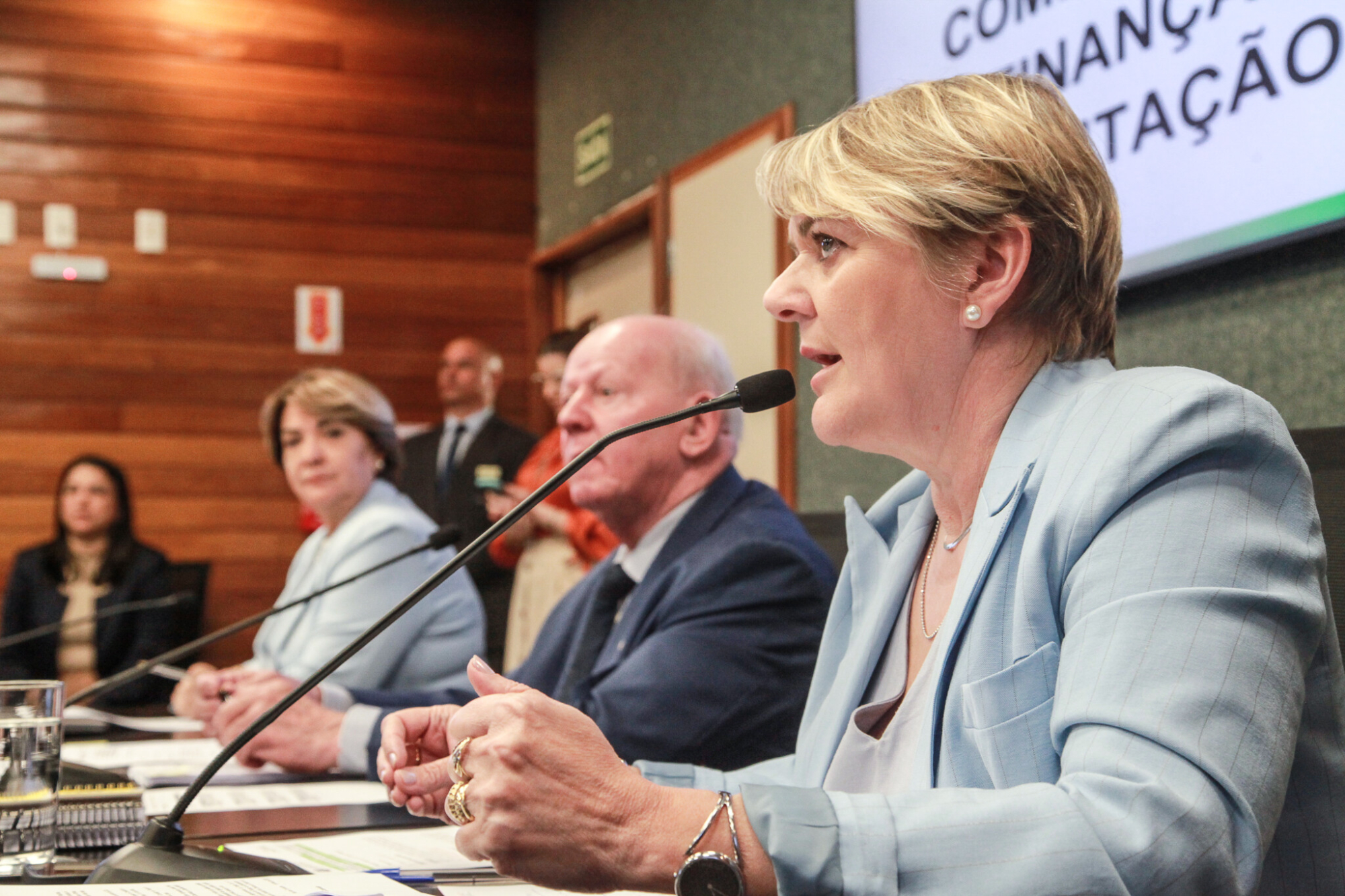 - Deputada Luciane Carminatti (PT)